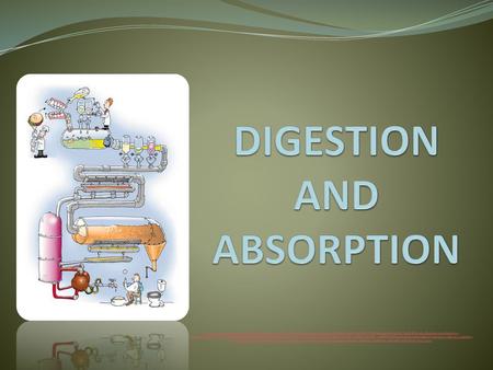 DIGESTION AND ABSORPTION