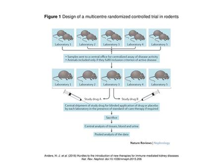 Nat. Rev. Nephrol. doi: /nrneph