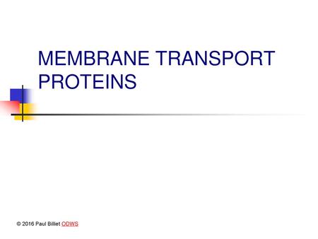 MEMBRANE TRANSPORT PROTEINS