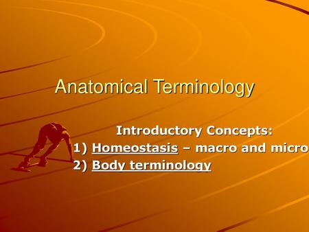 Anatomical Terminology