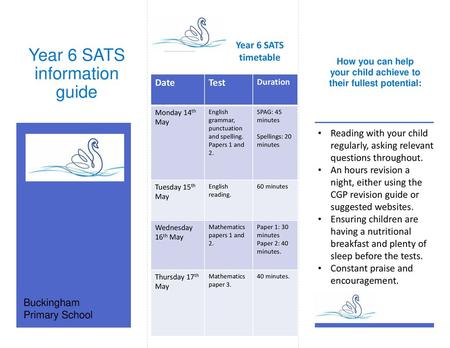 How you can help your child achieve to their fullest potential: