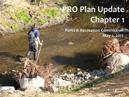 PRO Plan Update Chapter 1