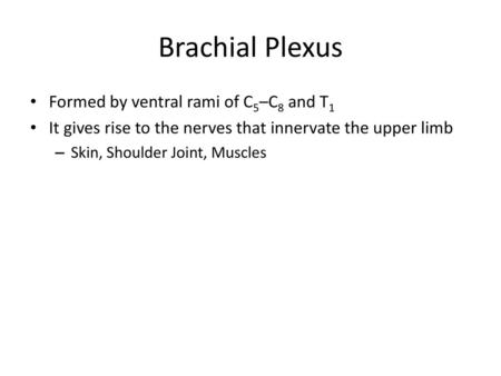 Brachial Plexus Formed by ventral rami of C5–C8 and T1