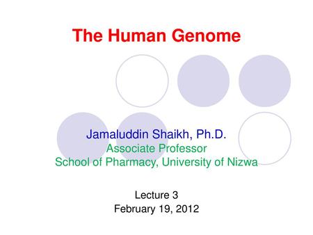 School of Pharmacy, University of Nizwa