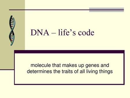 DNA – life’s code molecule that makes up genes and determines the traits of all living things.