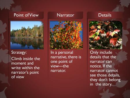 Point of View Narrator Details Strategy: