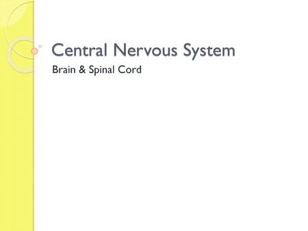 Central Nervous System