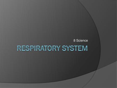 8 Science Respiratory System.