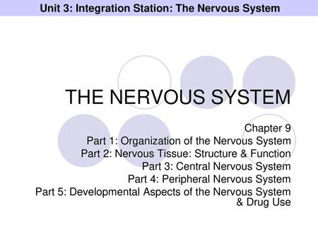 Unit 3: Integration Station: The Nervous System