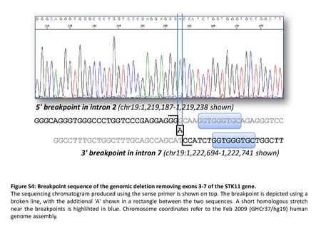 5' breakpoint in intron 2 (chr19:1,219,187-1,219,238 shown)