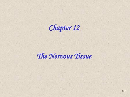 Chapter 12 The Nervous Tissue