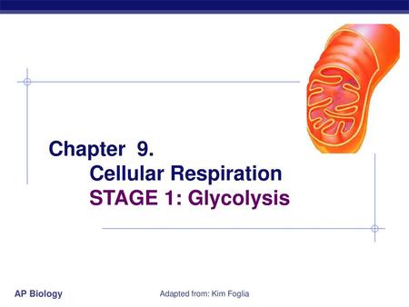 Chapter 9. Cellular Respiration STAGE 1: Glycolysis