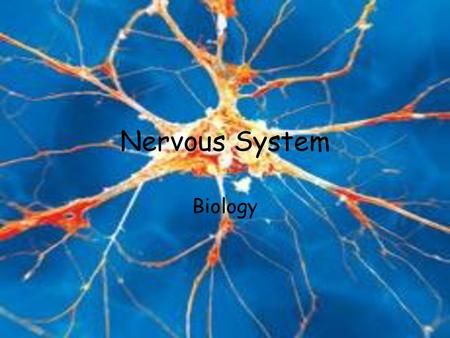 Nervous System Biology.