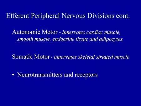 Efferent Peripheral Nervous Divisions cont.