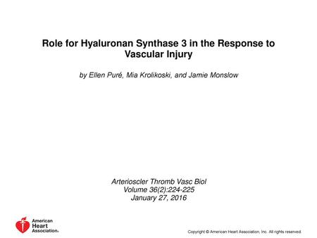 Role for Hyaluronan Synthase 3 in the Response to Vascular Injury