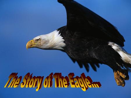 The Story of The Eagle….