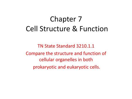 Chapter 7 Cell Structure & Function