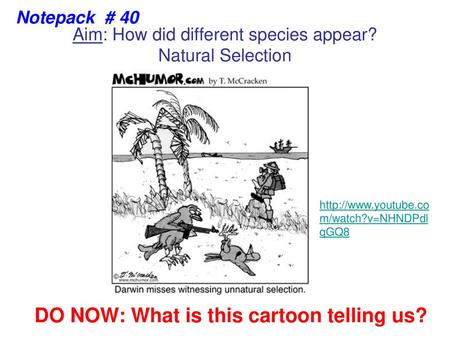 Aim: How did different species appear? Natural Selection