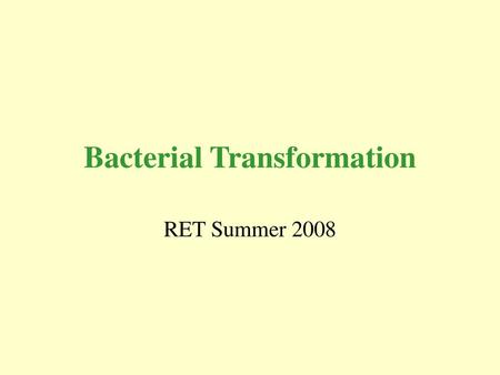 Bacterial Transformation