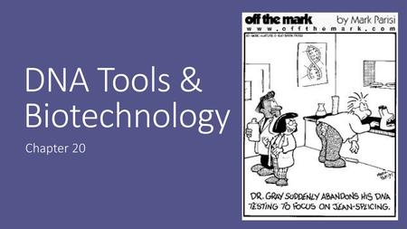 DNA Tools & Biotechnology