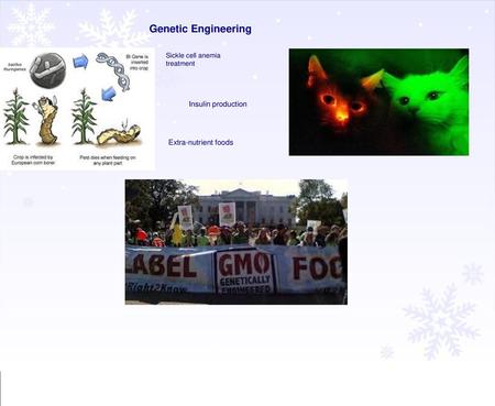 Genetic Engineering Insulin production Extra-nutrient foods