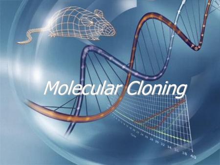 Molecular Cloning.