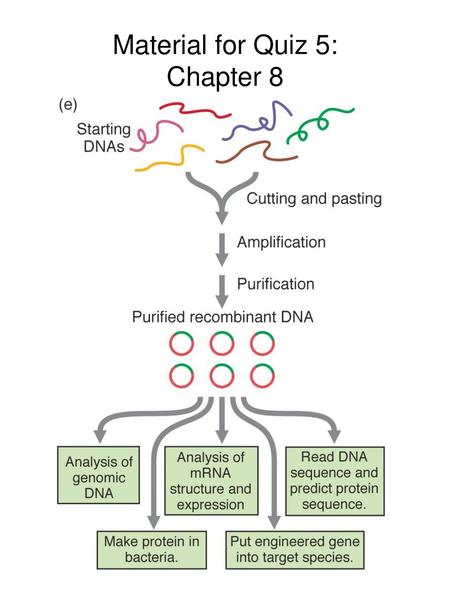 Material for Quiz 5: Chapter 8