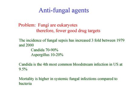 Anti-fungal agents Problem: Fungi are eukaryotes