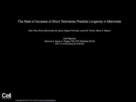 The Rate of Increase of Short Telomeres Predicts Longevity in Mammals