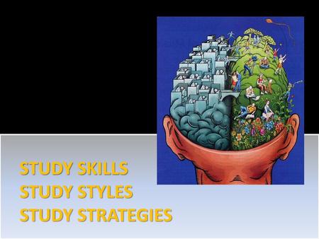 STUDY SKILLS STUDY STYLES STUDY STRATEGIES