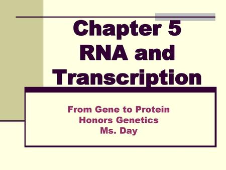 Chapter 5 RNA and Transcription