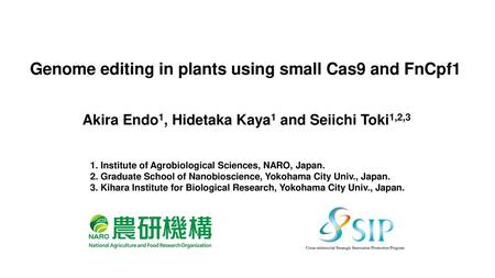 Genome editing in plants using small Cas9 and FnCpf1