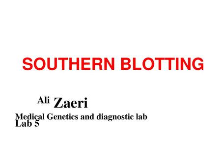 SOUTHERN BLOTTING Ali Zaeri Medical Genetics and diagnostic lab Lab 5.