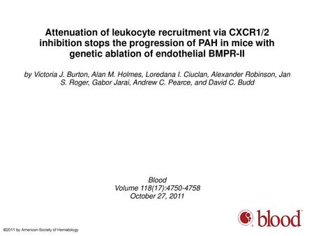 Attenuation of leukocyte recruitment via CXCR1/2 inhibition stops the progression of PAH in mice with genetic ablation of endothelial BMPR-II by Victoria.