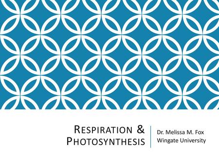 Respiration & Photosynthesis