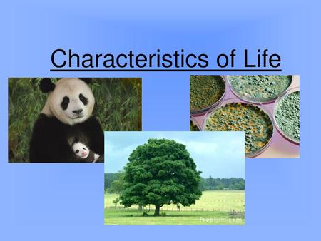 Characteristics of Life