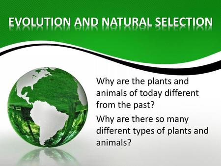 EVOLUTION AND NATURAL SELECTION