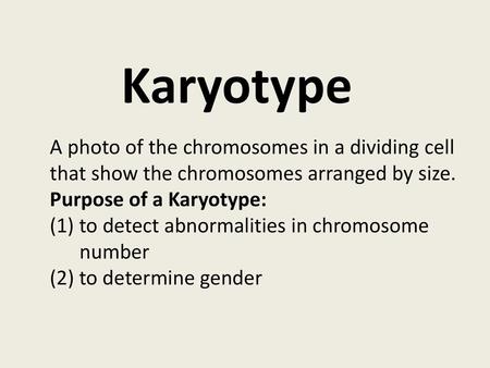 Karyotype A photo of the chromosomes in a dividing cell that show the chromosomes arranged by size. Purpose of a Karyotype: (1) to detect abnormalities.