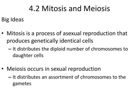 4.2 Mitosis and Meiosis Big Ideas