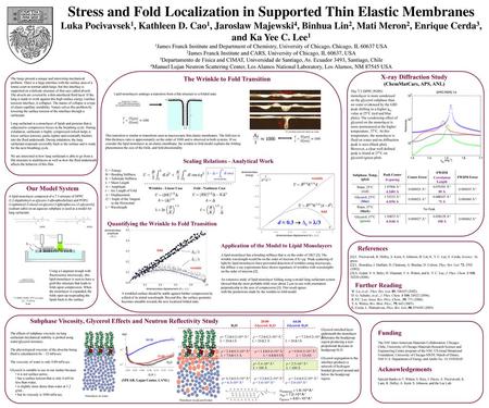 Stress and Fold Localization in Supported Thin Elastic Membranes