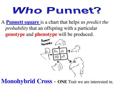 Who Punnet? Monohybrid Cross - ONE Trait we are interested in.