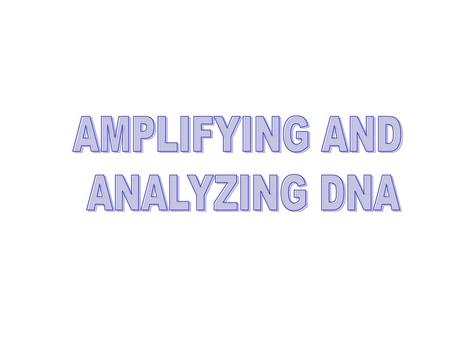 AMPLIFYING AND ANALYZING DNA.