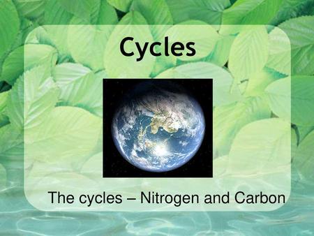 Cycles The cycles – Nitrogen and Carbon.