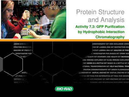 Protein Structure and Analysis