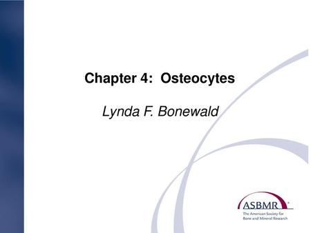 Chapter 4: Osteocytes Lynda F. Bonewald.