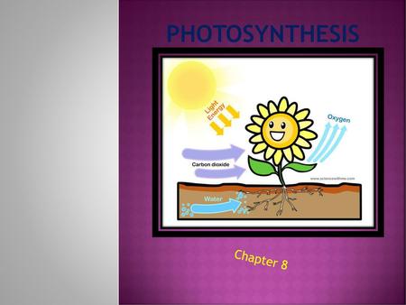 Photosynthesis Chapter 8.