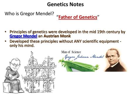 Genetics Notes Who is Gregor Mendel? “Father of Genetics”