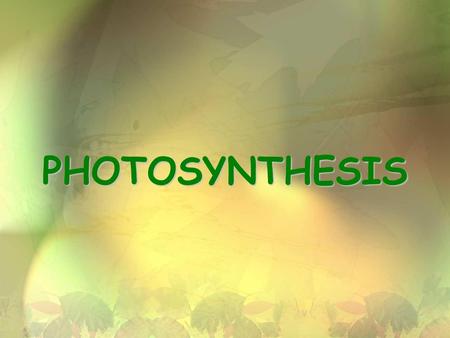 PHOTOSYNTHESIS.