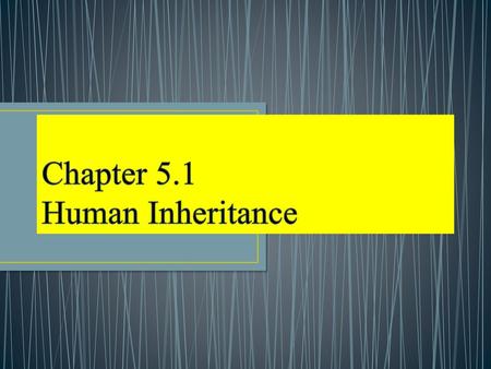 Chapter 5.1 Human Inheritance