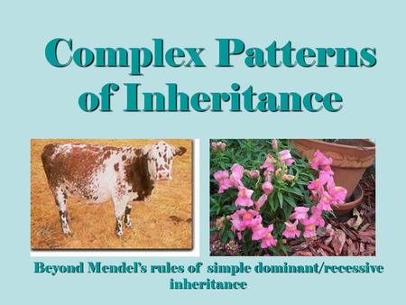 Complex Patterns of Inheritance